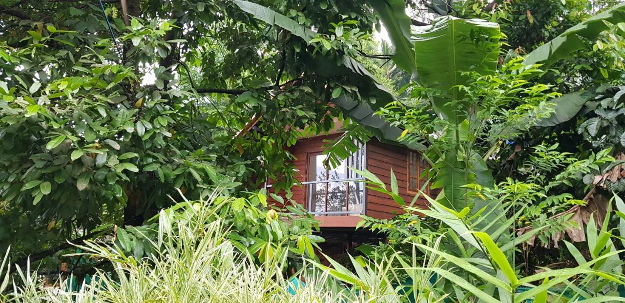 Wayanad Doubletree Villa ไวทีรี ภายนอก รูปภาพ