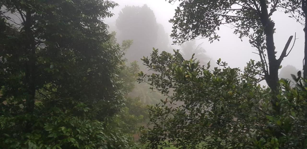 Wayanad Doubletree Villa ไวทีรี ภายนอก รูปภาพ