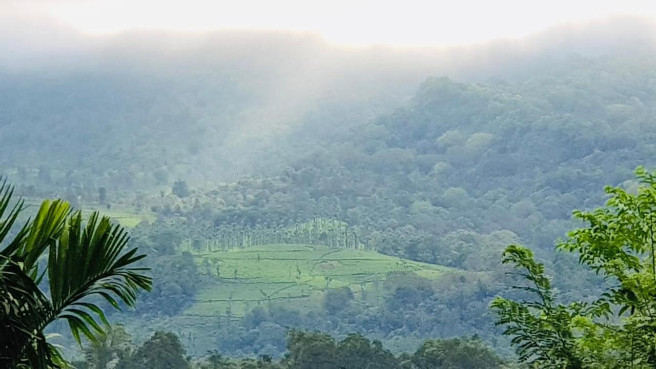 Wayanad Doubletree Villa ไวทีรี ภายนอก รูปภาพ