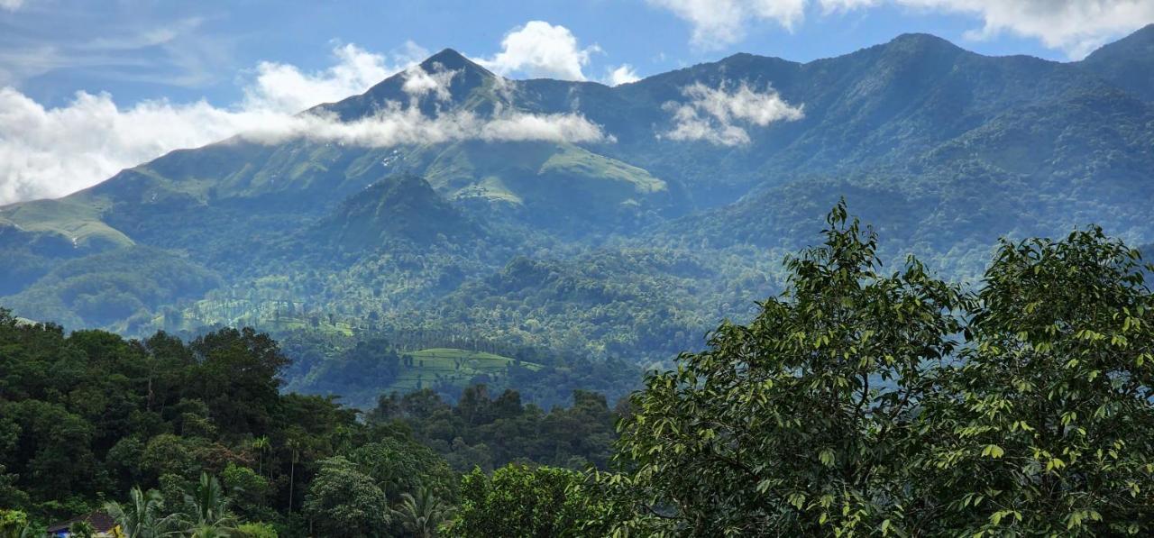 Wayanad Doubletree Villa ไวทีรี ภายนอก รูปภาพ