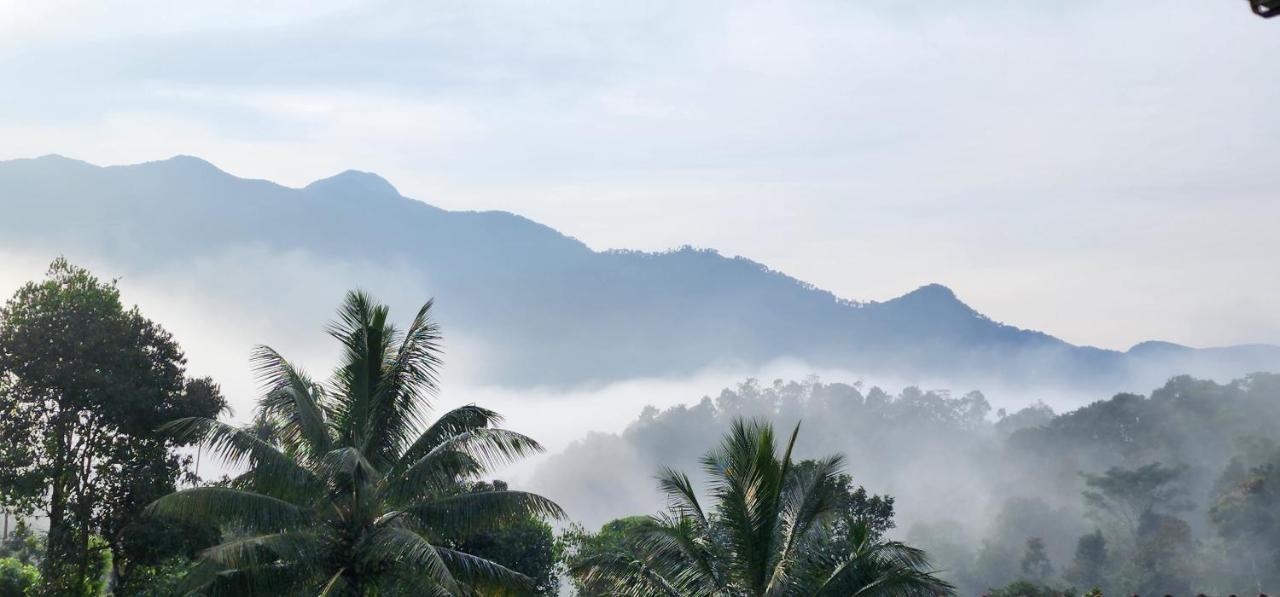 Wayanad Doubletree Villa ไวทีรี ภายนอก รูปภาพ